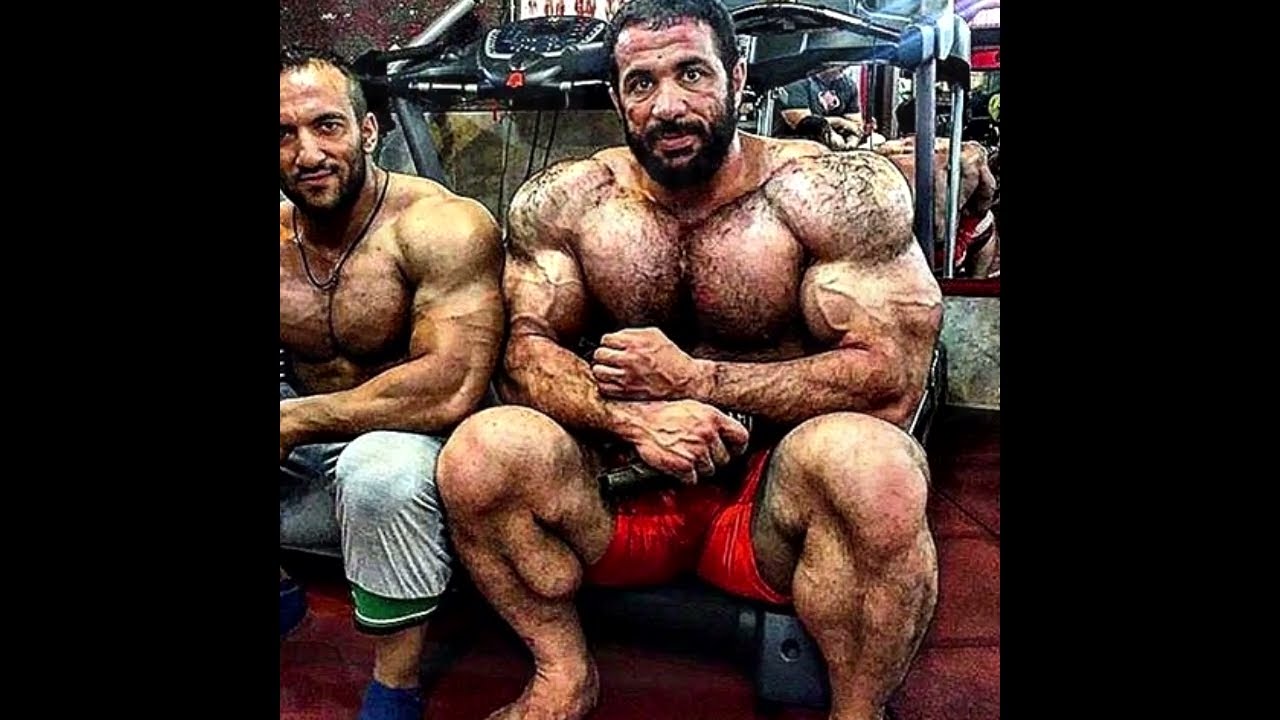 Gym Fails & Antics !