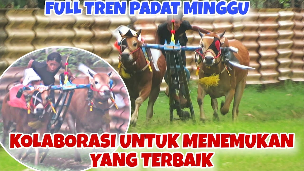 KOLABORASI UNTUK MENEMUKAN YANG TERBAIK MENUJU HUT PERDANA MENTERI || PANA LEBEF F.T LINDA TERSAYANG