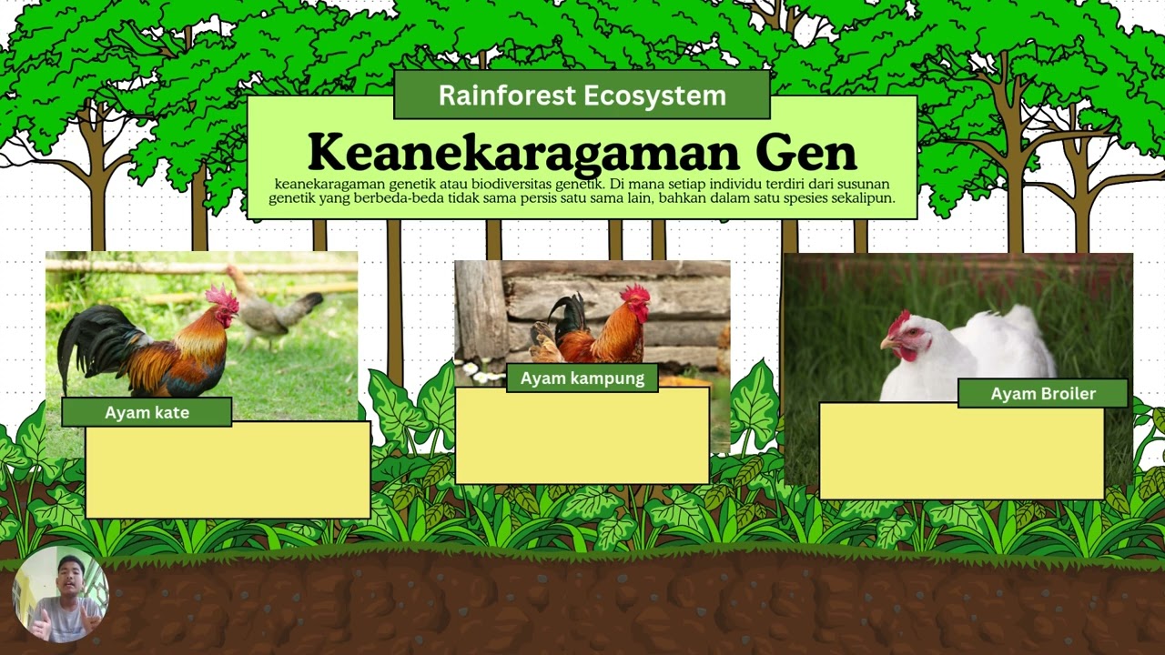 Biodiversitas | Keanekaragaman Hayati | Biologi Kelas 10 | #Biodiversitas #BiologiKelas10 #biologi