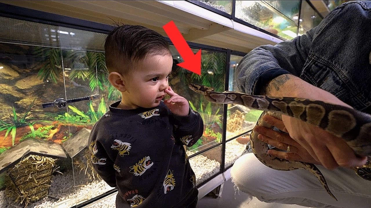 DE KIDS REAGEREN VOOR HET EERST OP EEN SLANG 🐍😱 | #530