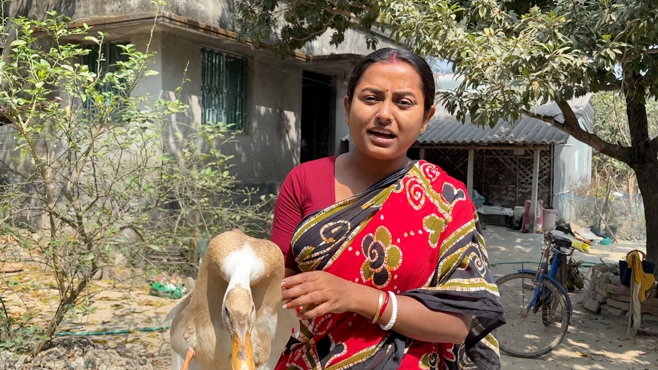 চালের রুটি আর দেশি হাঁসের মাংস রান্না করে জমিয়ে খাওয়া 