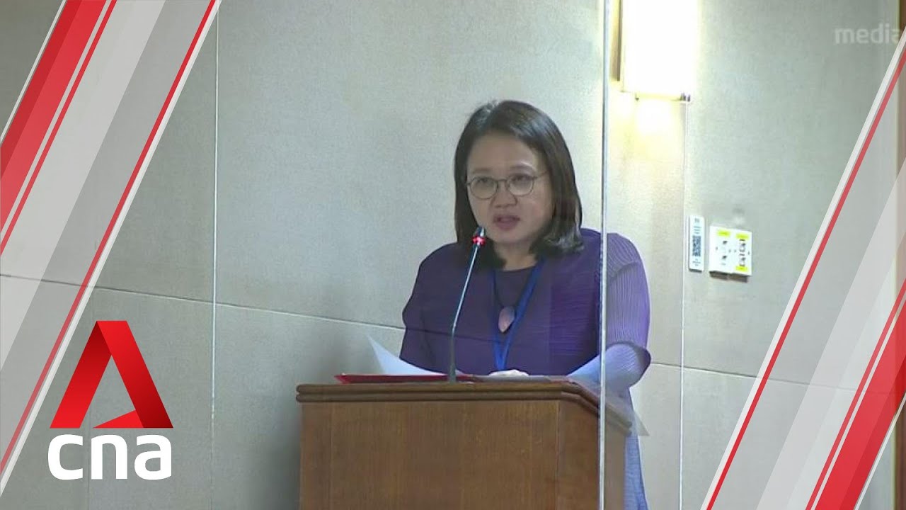 Parliament: Workers' Party MP Sylvia Lim calls for national review on racial issues