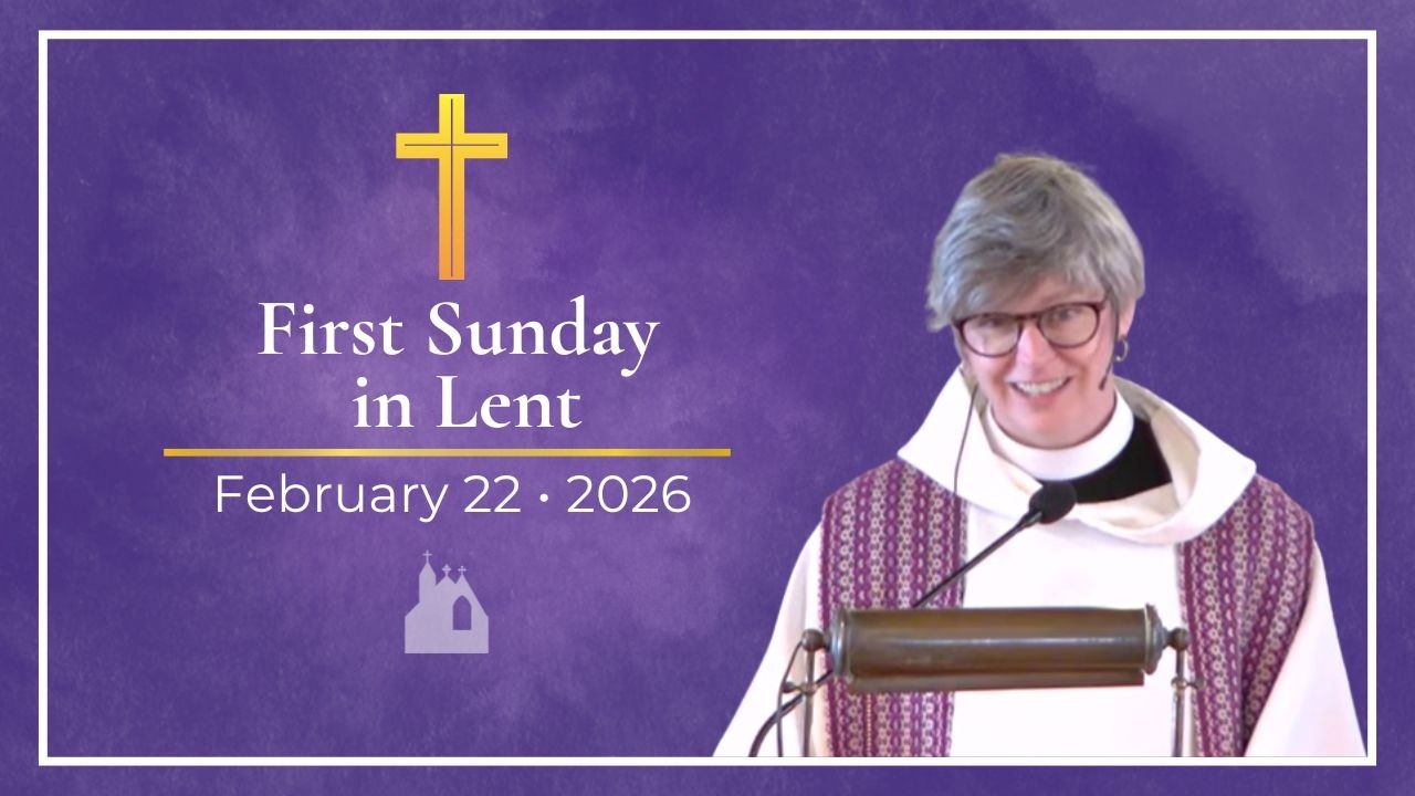 St. John's - February 22nd, 2026