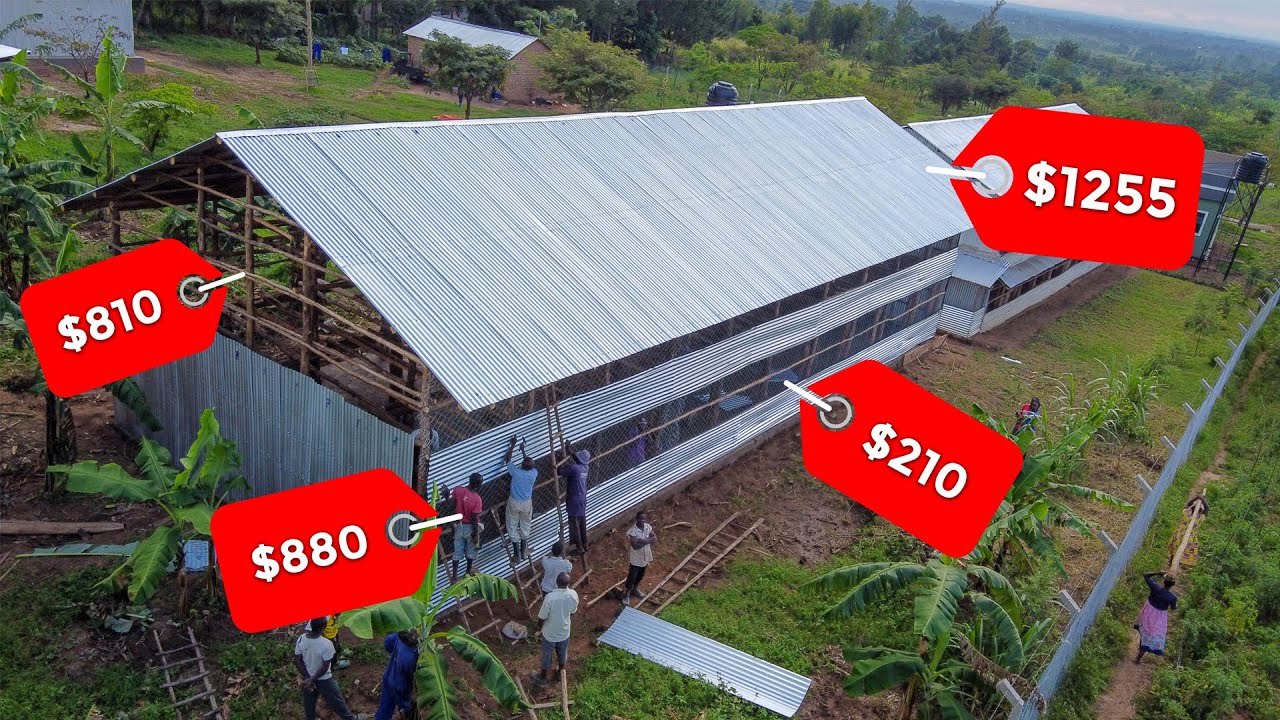 Сколько стоит построить курятник вместимостью 2500 кур?