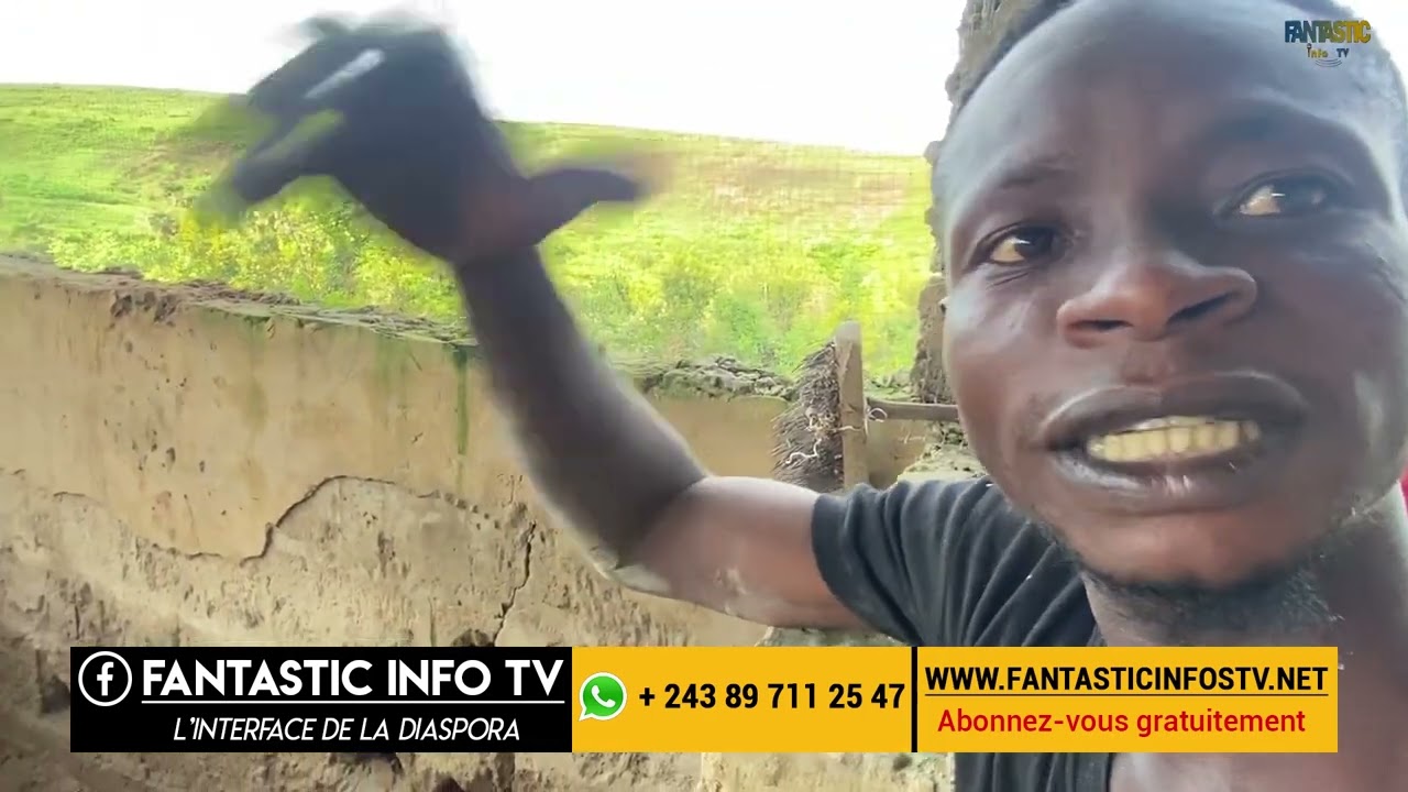 L'élevage de Porcs de race au Village Kimbata ( Kasangulu , Kongo central )
