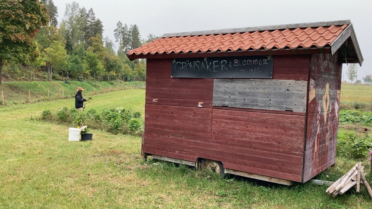 Rainbow family farm - Matlandskap Södra Dalarna 2024