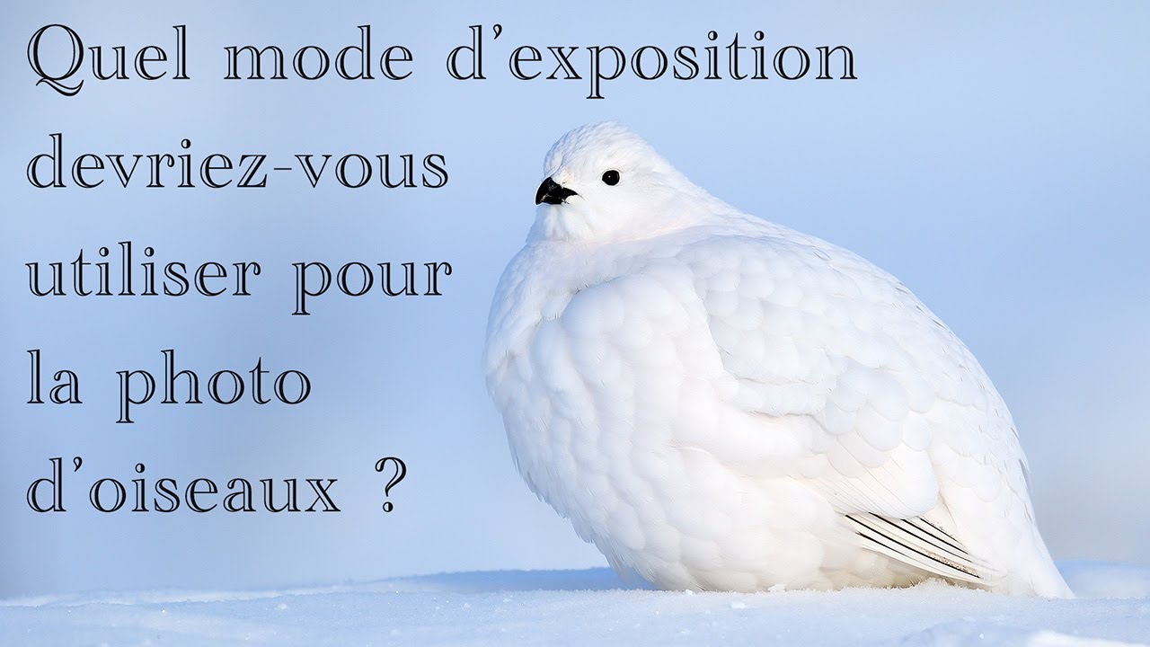 Quel mode d’exposition devriez-vous utiliser ?