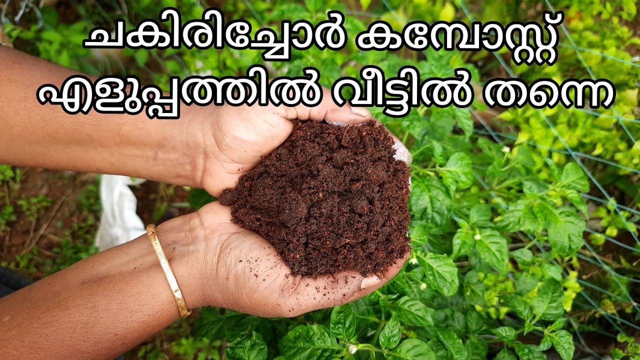 ചകിരി കമ്പോസ്റ്റ് ആർക്കും എളുപ്പത്തിൽ വീട്ടിൽ ഉണ്ടാക്കാം|chakirichor compost|