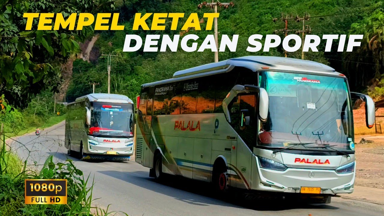 JAM MEPET!! Bus Lintas Sumatera Gasspoll ke Tujuan Masing-masing