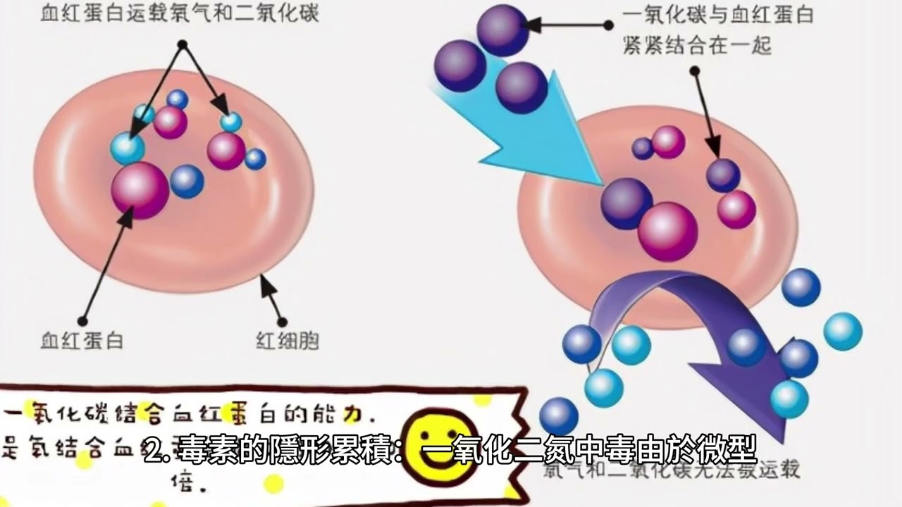 為何火星移民是個騙局？從「生態圈二號」看人類無法複製的第二個大自然。