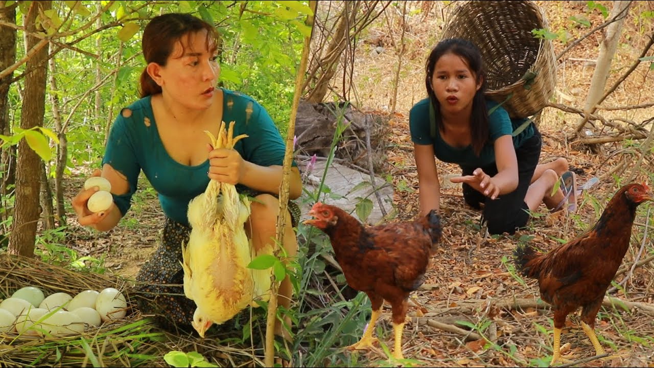 Catch chicken and pick egg/ Bound chicken with baby corn & Grill chicken for lunch