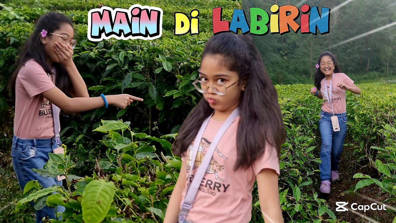 Malah Ngajakin Main Petak Umpet di Labirin kebun Teh 😁 Hanum Diary