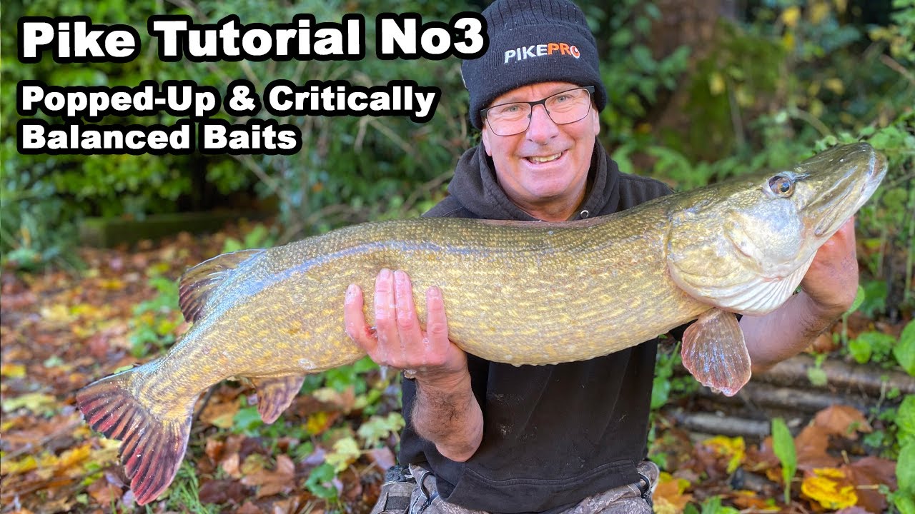 Pike Tutorial No3 - Popped-Up & Critically Balanced Deadbaits