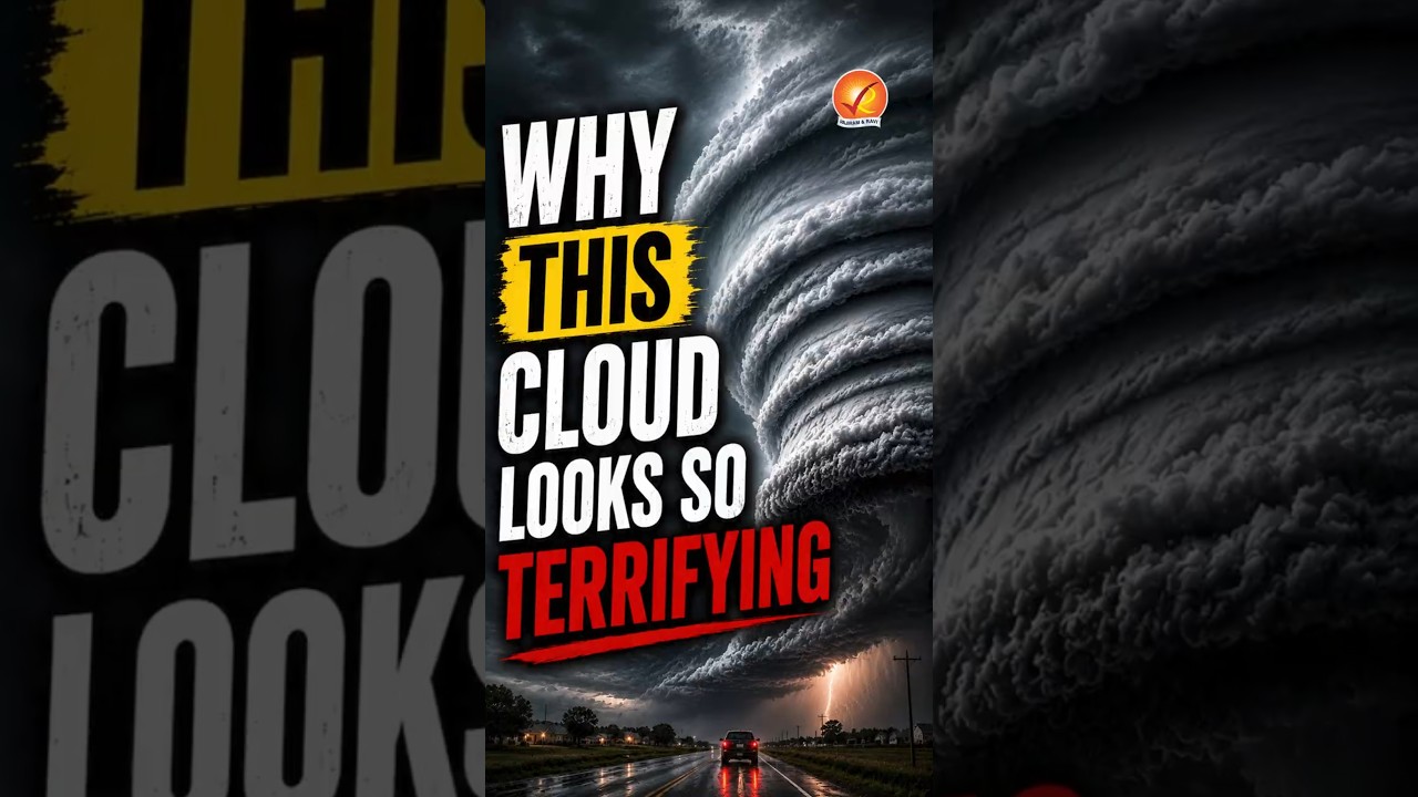 Massive Tsunami Cloud Captured: Terrifying Visuals Go Viral