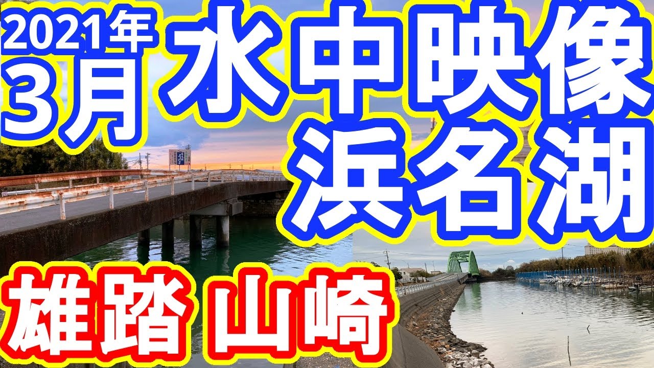 【水中映像】雄踏山崎 2021年3月 初春の浜名湖（浜名湖の釣り）
