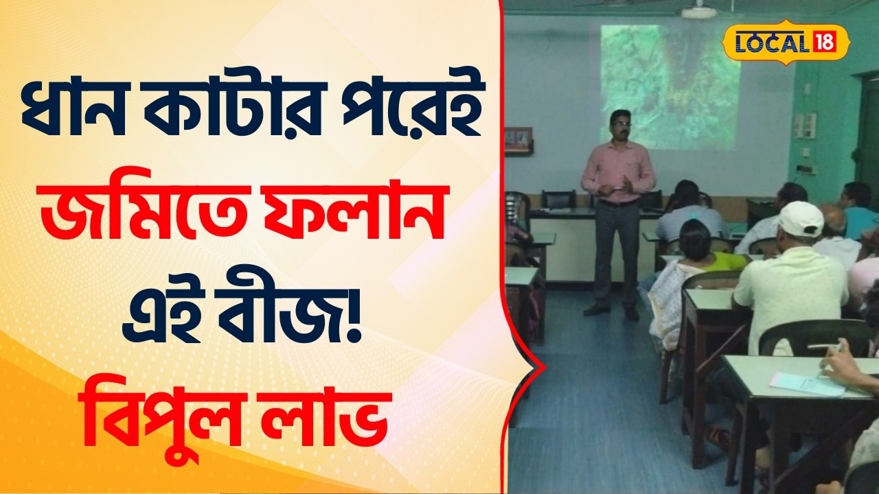 Bangla News | ধান কাটার পরেই জমিতে ফলান এই বীজ! বিপুল লাভ | Earning Money | Farming #Local18