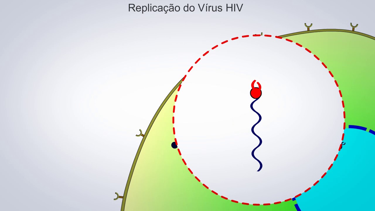 A Replica&ccedil;&atilde;o do  HIV