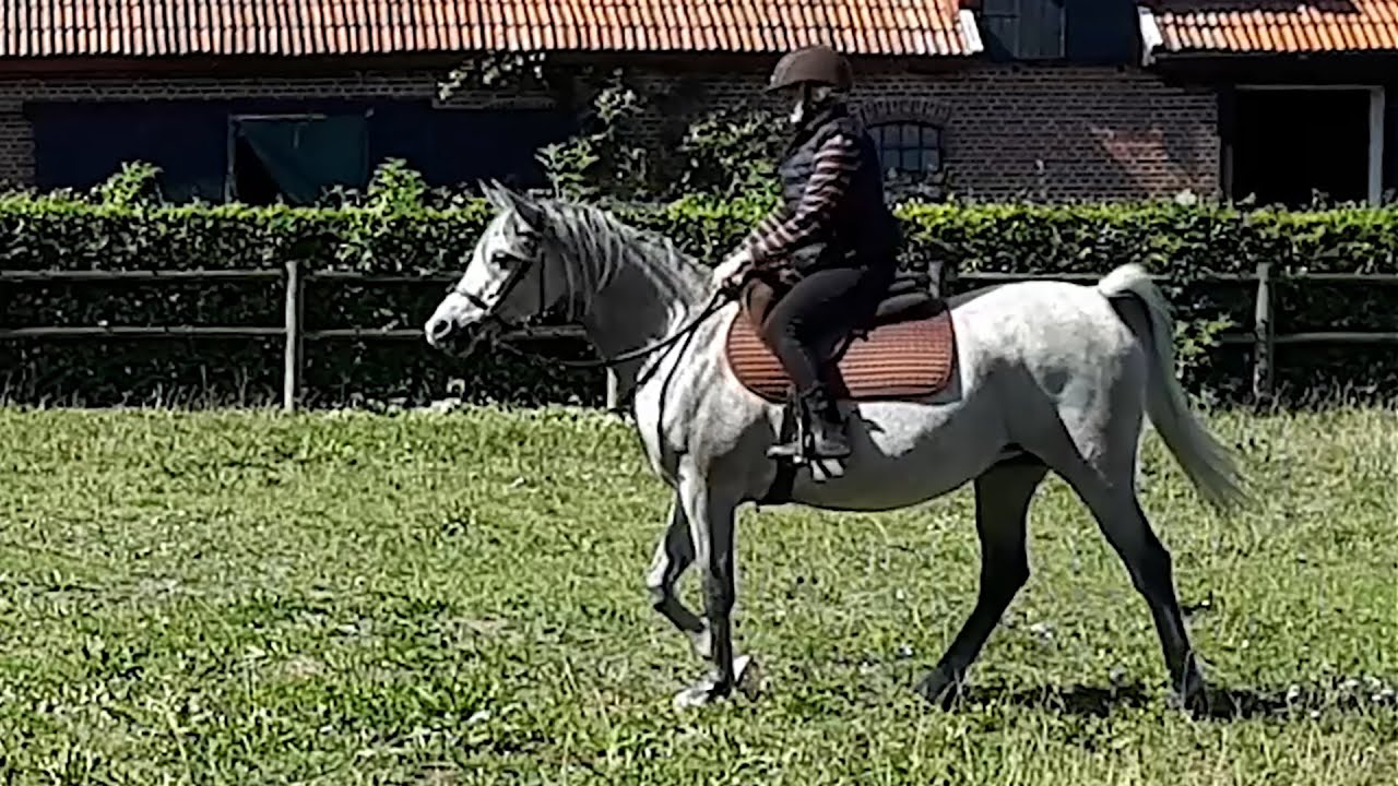 Champagne – 3e uppsittningen utan ledare, 4 september 2025