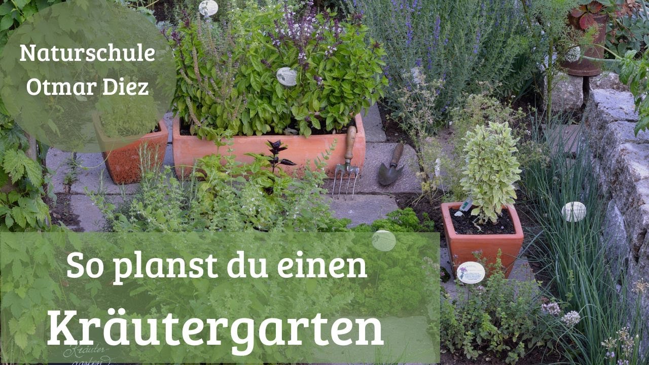 So baust du einen Kräutergarten