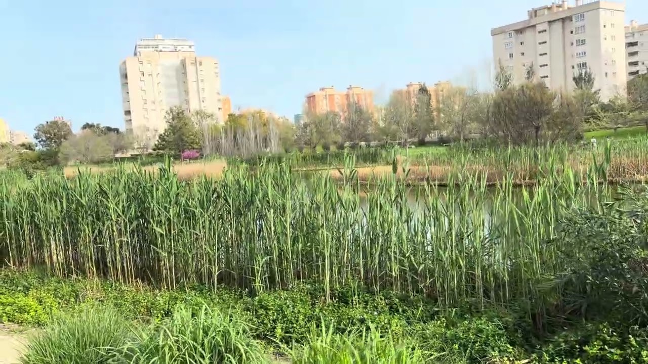 Peaceful Walk in Alicante Park 🌴 Who Did We Meet There?