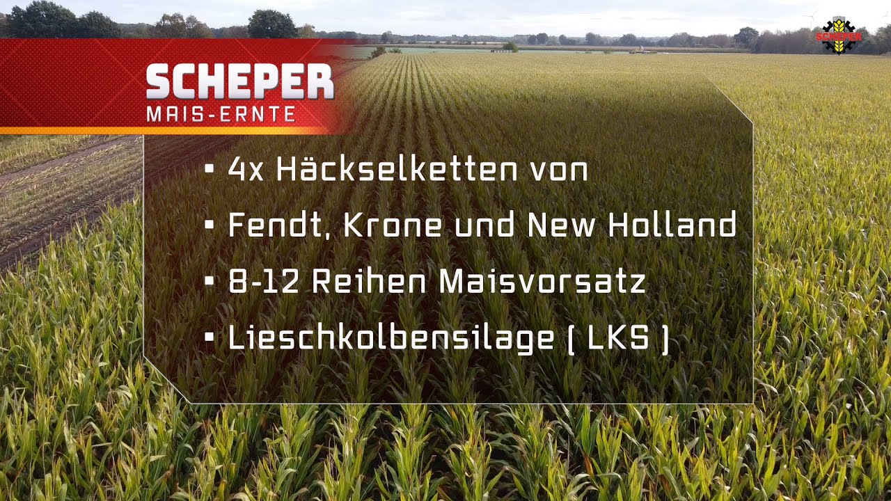 Häcksler Mais Ernte