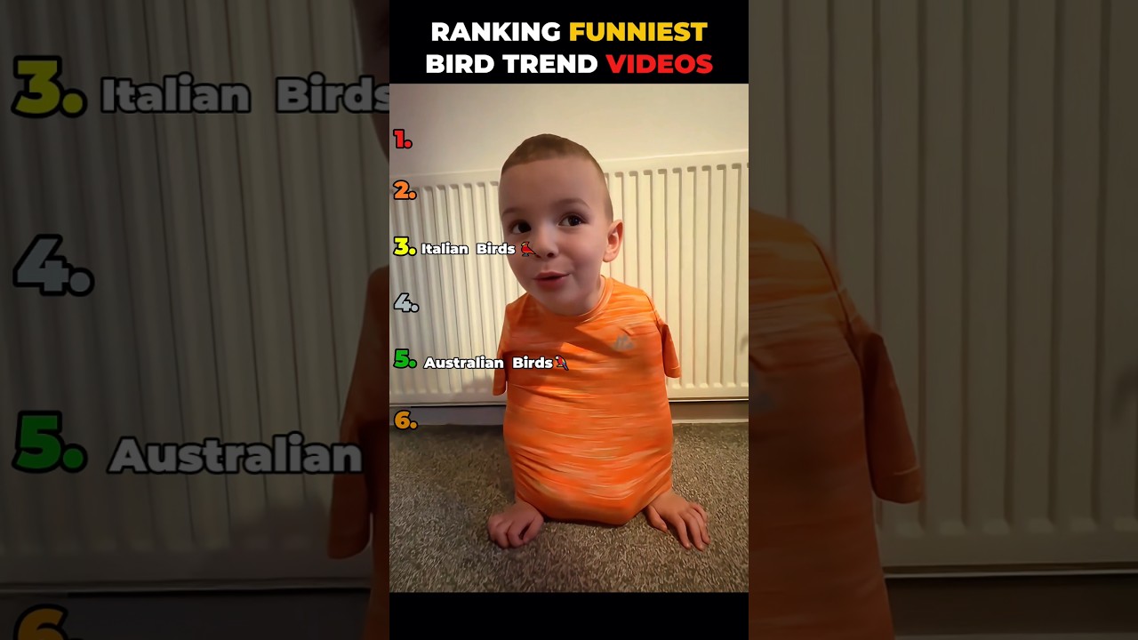 Ranking best bird trend videos 😂