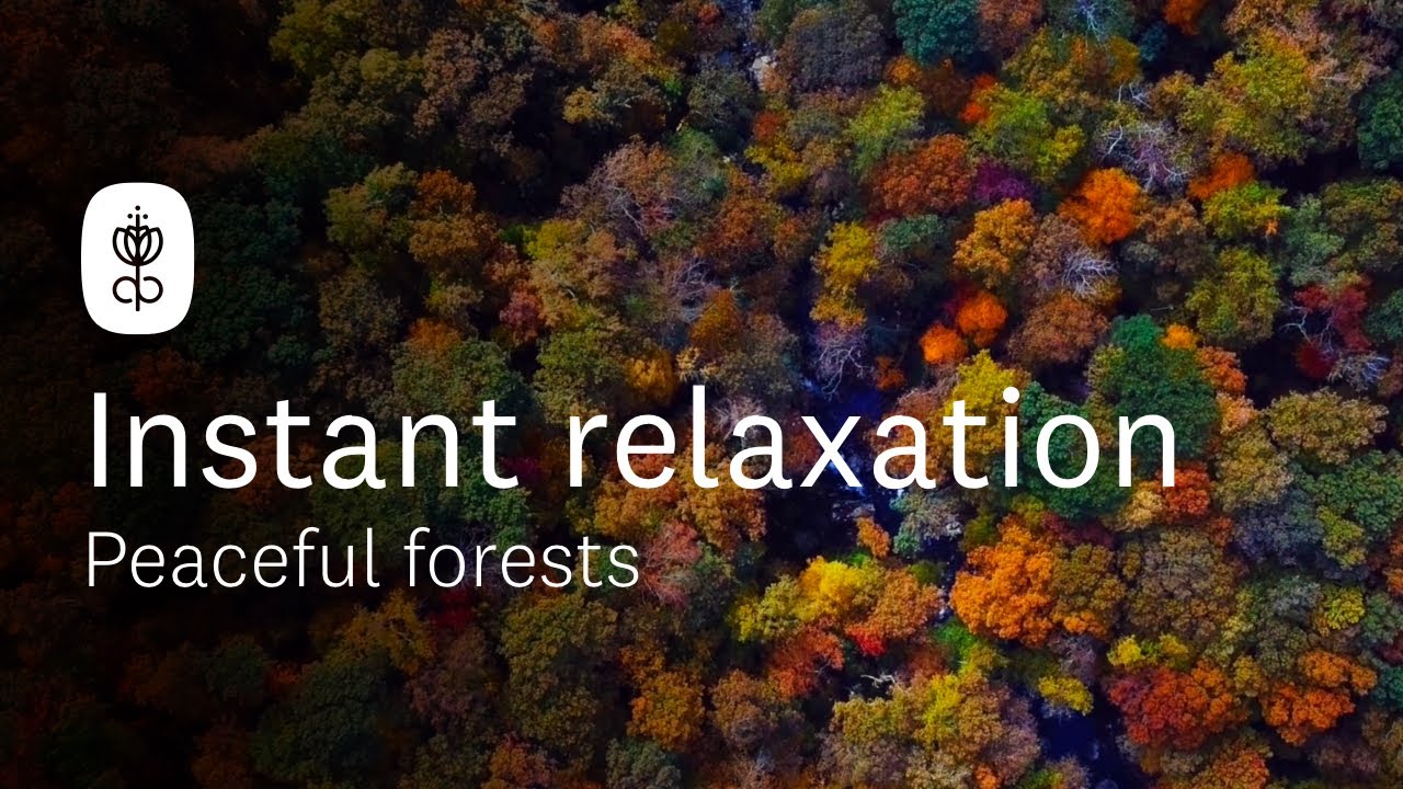 [This is NOT A.I. Music]  INSTANT Relaxation &bull; Peaceful Music &bull; Relax, Sleep, Study, Meditate