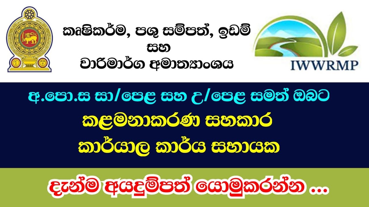 කළමනාකරණ සහකාර | කාර්යාල කාර්ය සහායක | Goverment job vacancies 2025 | Job Plus LK