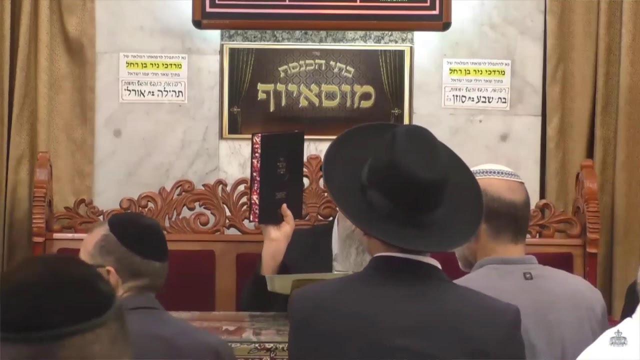 הרב בן ציון מוצפי  •  פרשת כי תבוא אלול תשפ