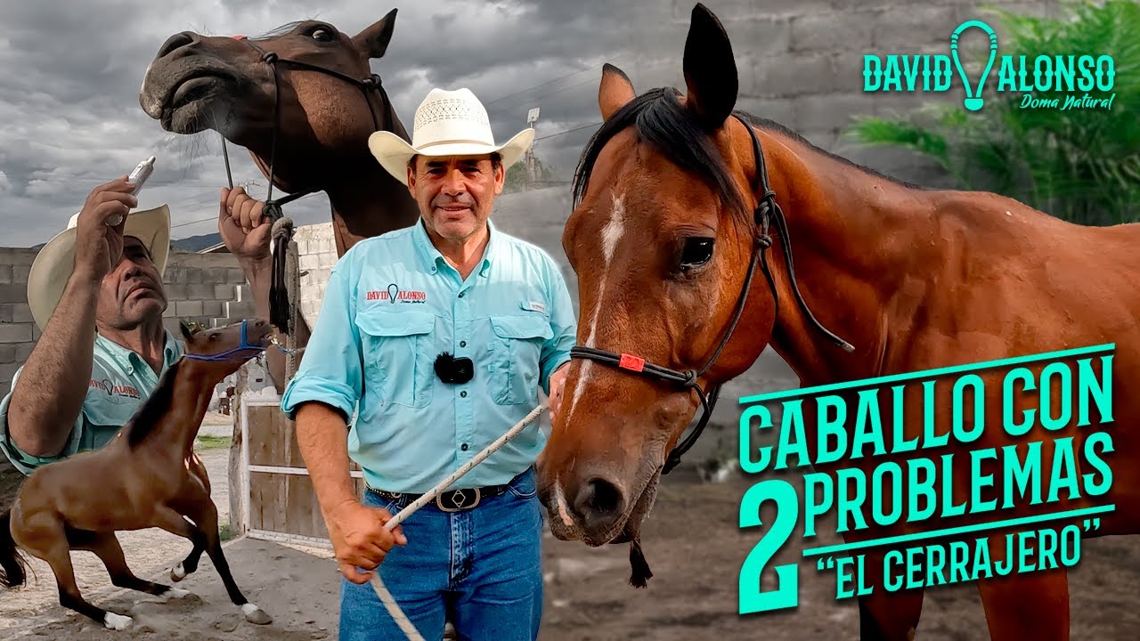 Un Caballo, 2 Problemas