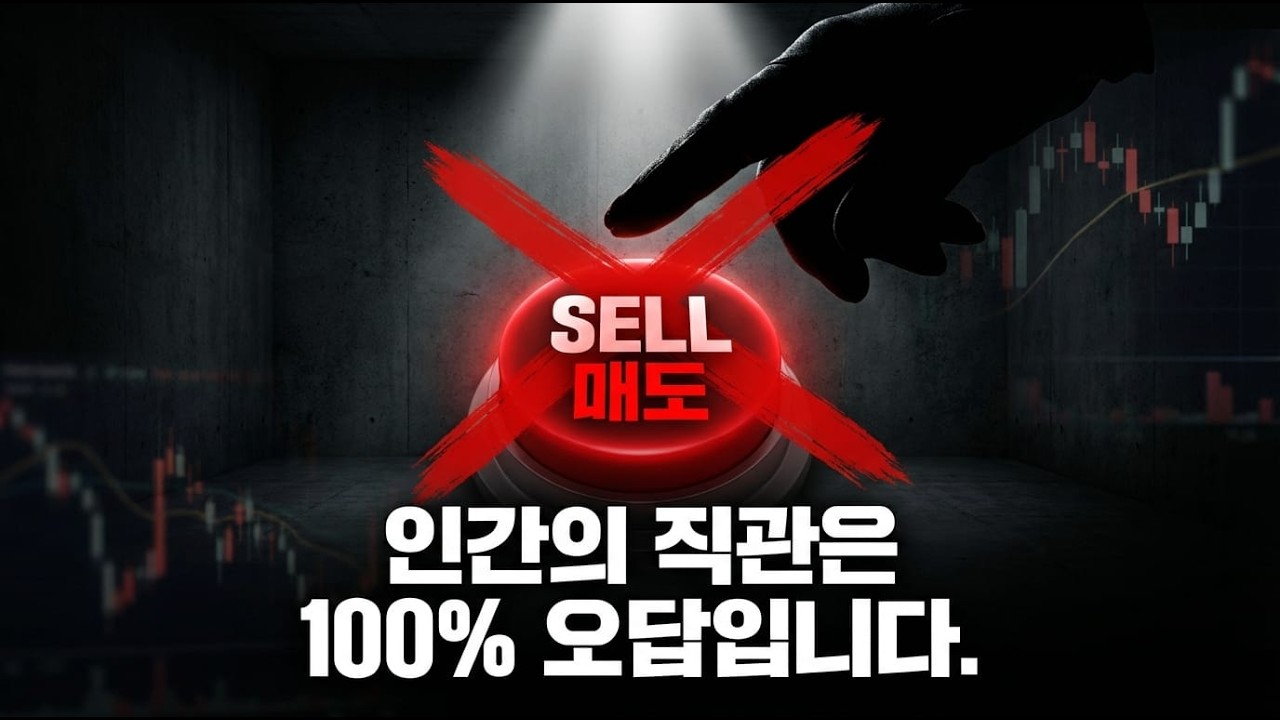 98년 데이터가 증명한 폭락장 생존법: 타이밍 재는 개미는 죽고, '기계'는 살아남는다
