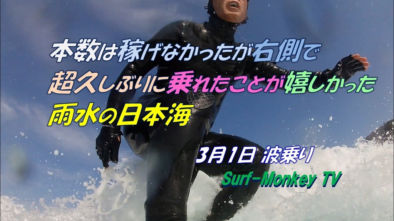 本数は稼げなかったが右側で超久しぶりに乗れたことが嬉しかった雨水の日本海 260301 ~サーフモンキーTV
