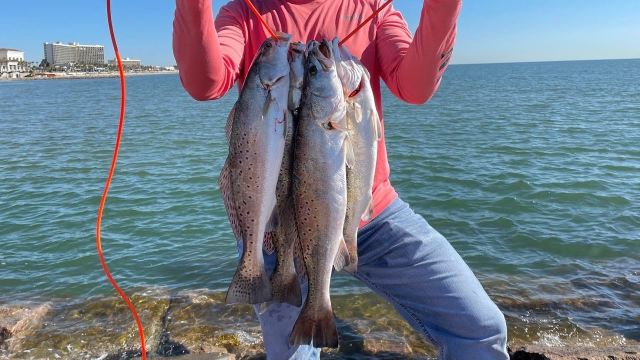 speckled trout fishing 61st pier Galveston, Texas