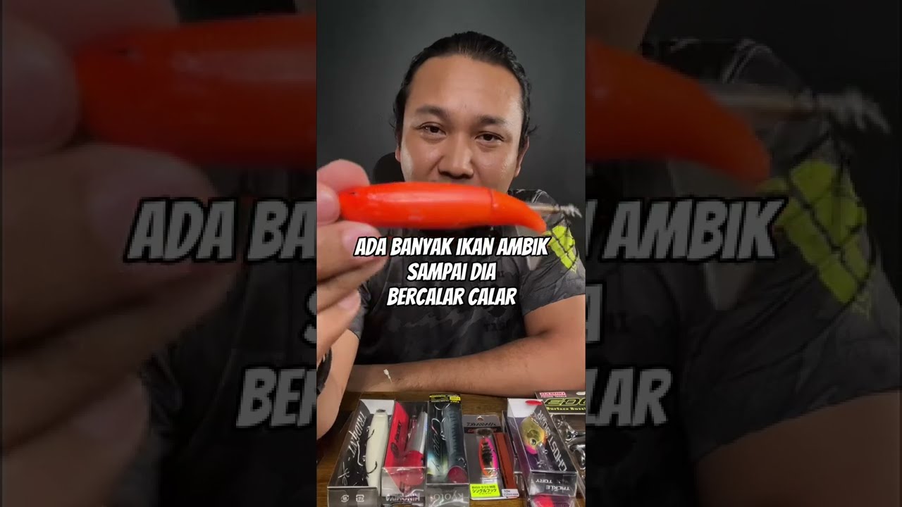 Lure topwater untuk toman