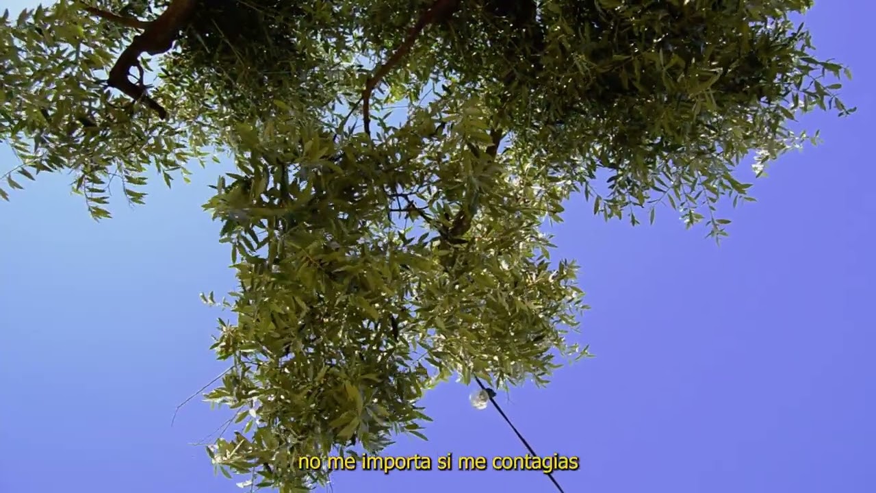 Rico al solecito - We Are Samples (WAS)