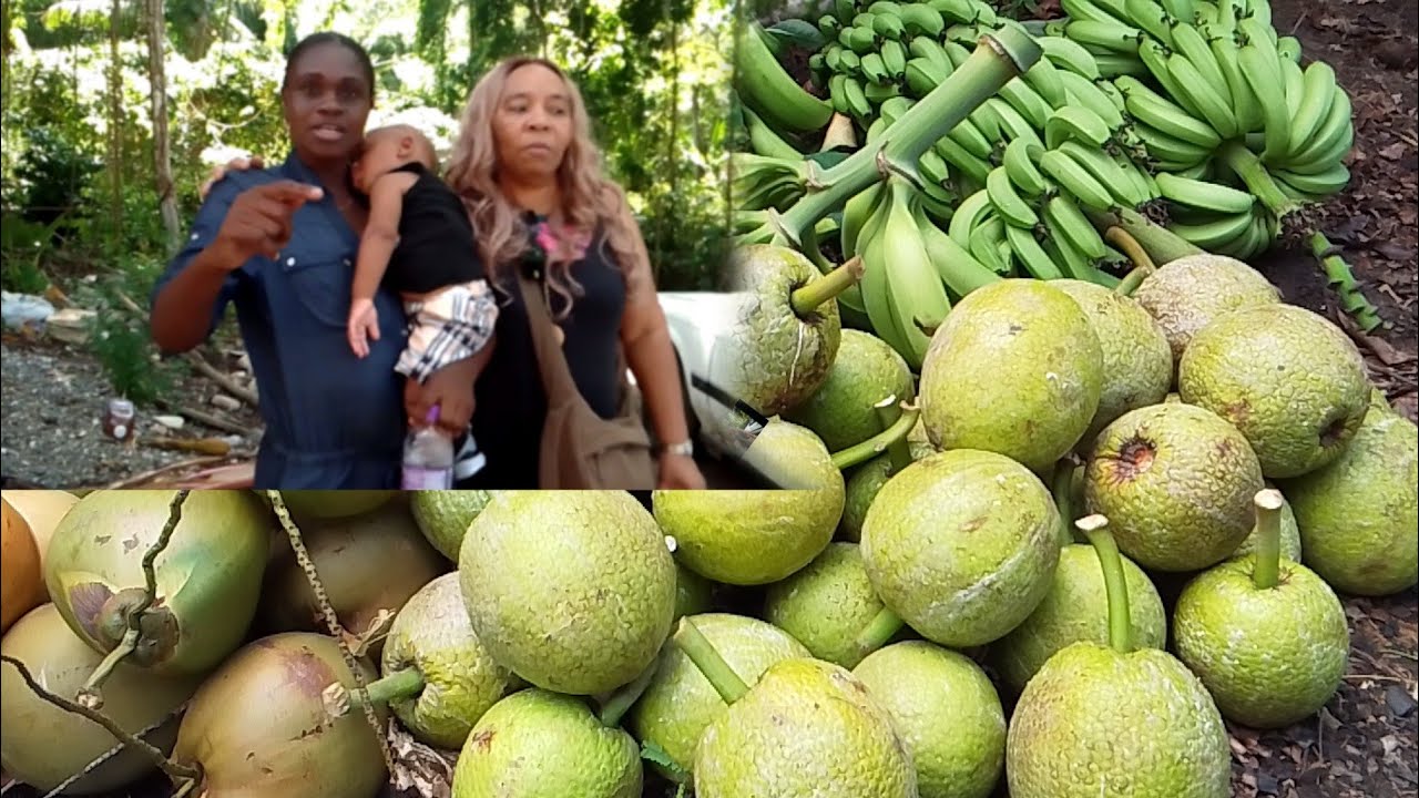 Ground god and the subscriber come for the things them today 🍌🥥🎃🍠