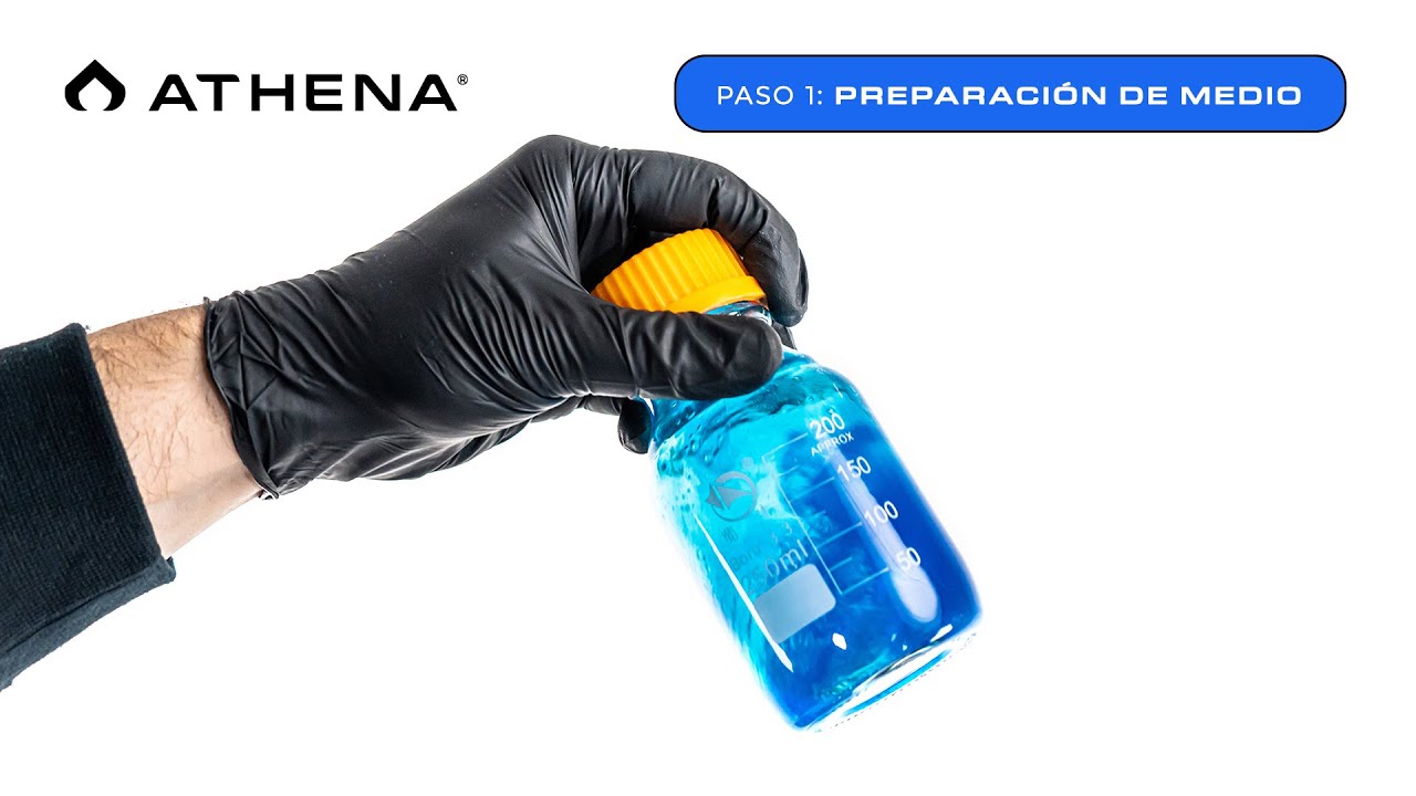 Tissue Culture Kit &ndash; Paso 1: Preparaci&oacute;n de Medio