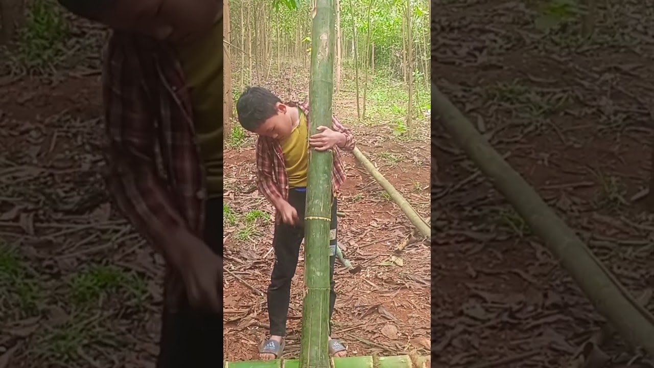 An orphan boy struggling to survive alone #huongvidongquetv #orphan #survival #orphanboy #sinhton