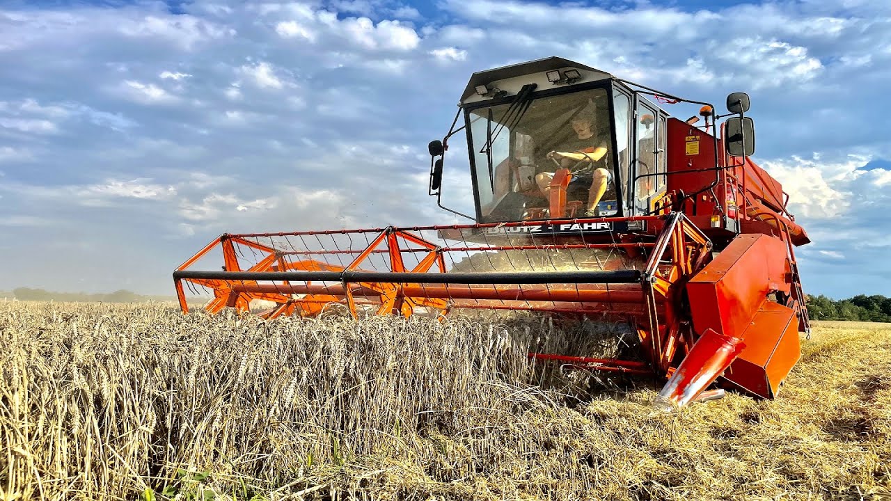 Żniwa 2021 w GR Matysiak Deutz Fahr M2385 w Pszenicy Delawar Lubelskie