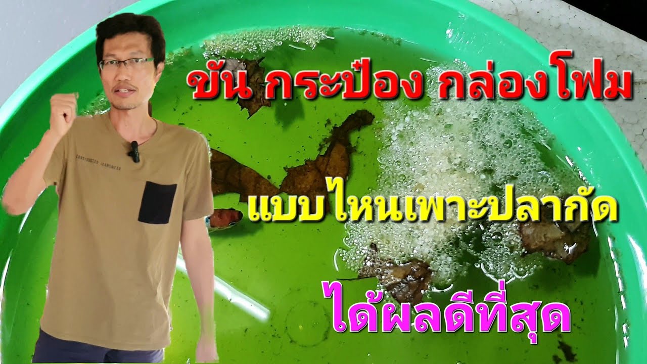 ภาชนะที่เหมาะกับเพาะปลากัด