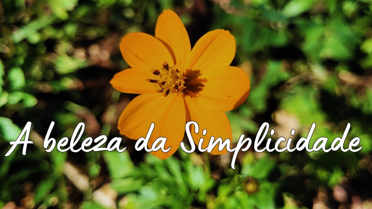 Como ter uma vida cotidiana simples?✨ Criando um lar tranquilo e acolhedor 🌷