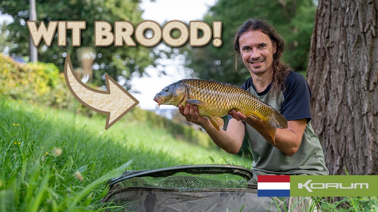 KARPERVISSEN MET BROOD AAN DE OPPERVLAKTE!