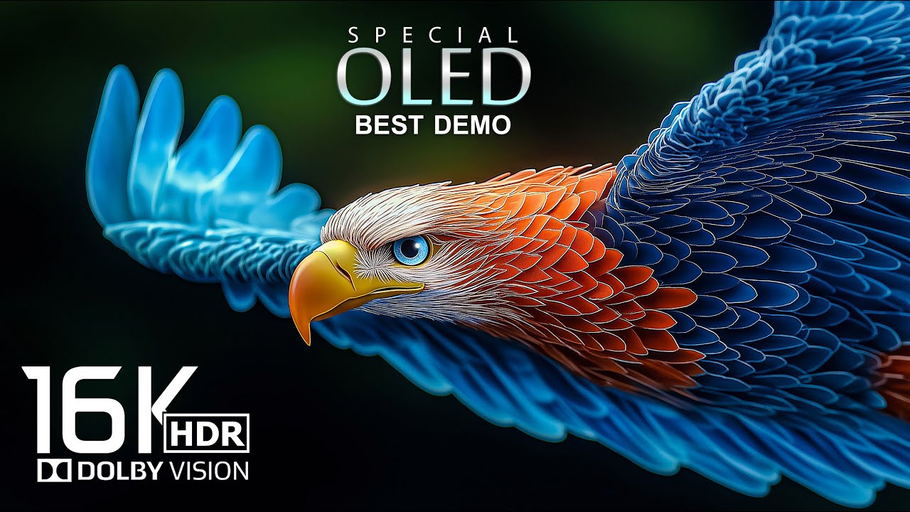 BEST Dolby Vision 16K HDR 60FPS (16K Video ULTRA HD)