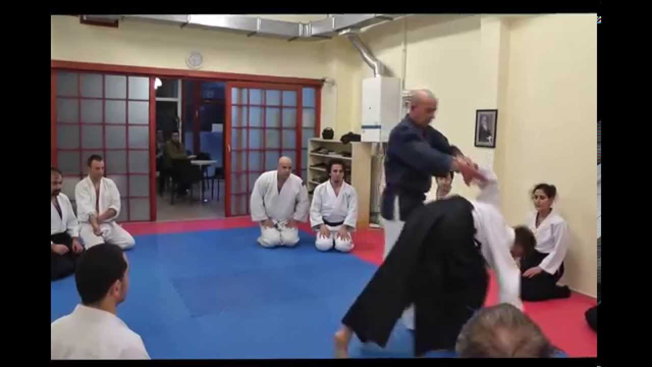 Nebi Vural Sensei, Gelisim Aikido Dojosu Ziyareti, 2014, Gyaku Hanmi Katate Dori Ikkyo