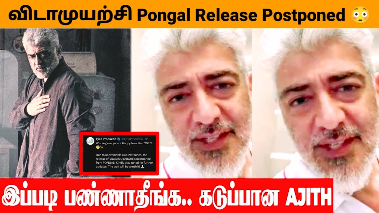 Vidamuyarchi Postponed from Pongal Release 😐 | Ajithkumar | Trisha | Lyca |Magizh Thirumeni