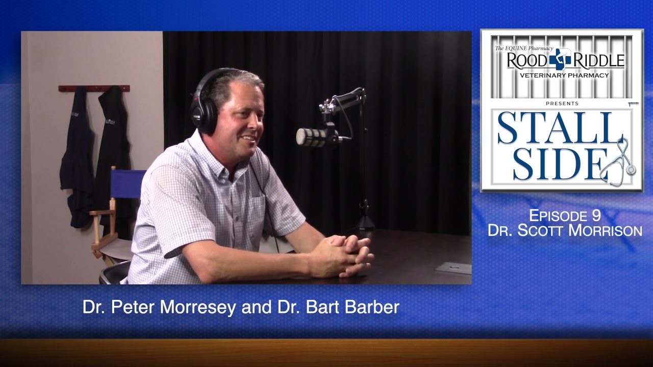 Pioneering Equine Podiatry with Dr.  Scott Morrison