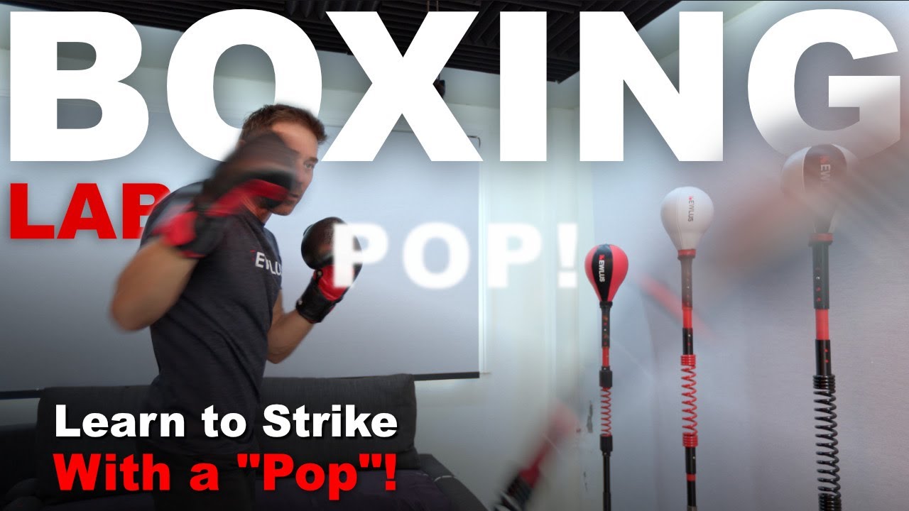 Научитесь «отбивать» удары с помощью мишени Focus Cobra Bag Target