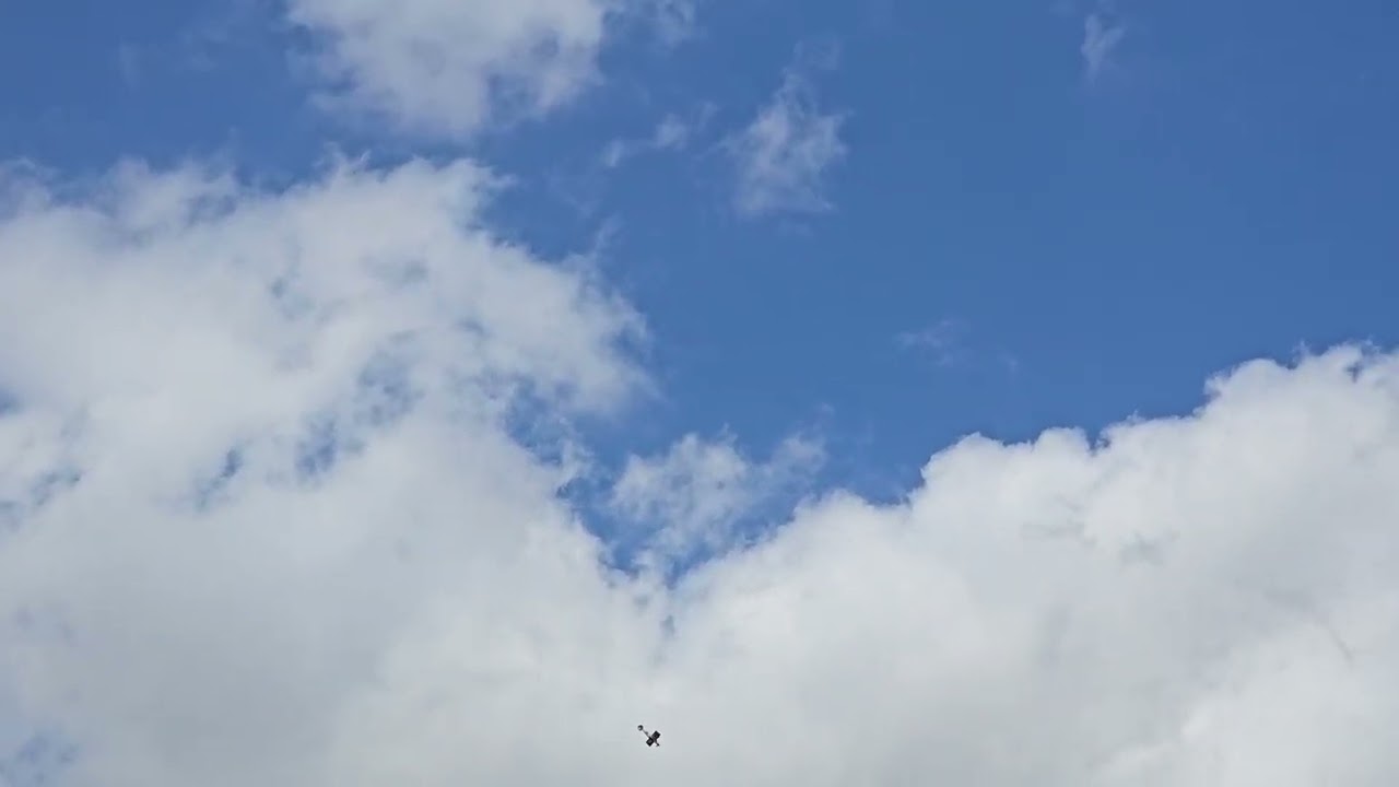 Seagull challenger flying