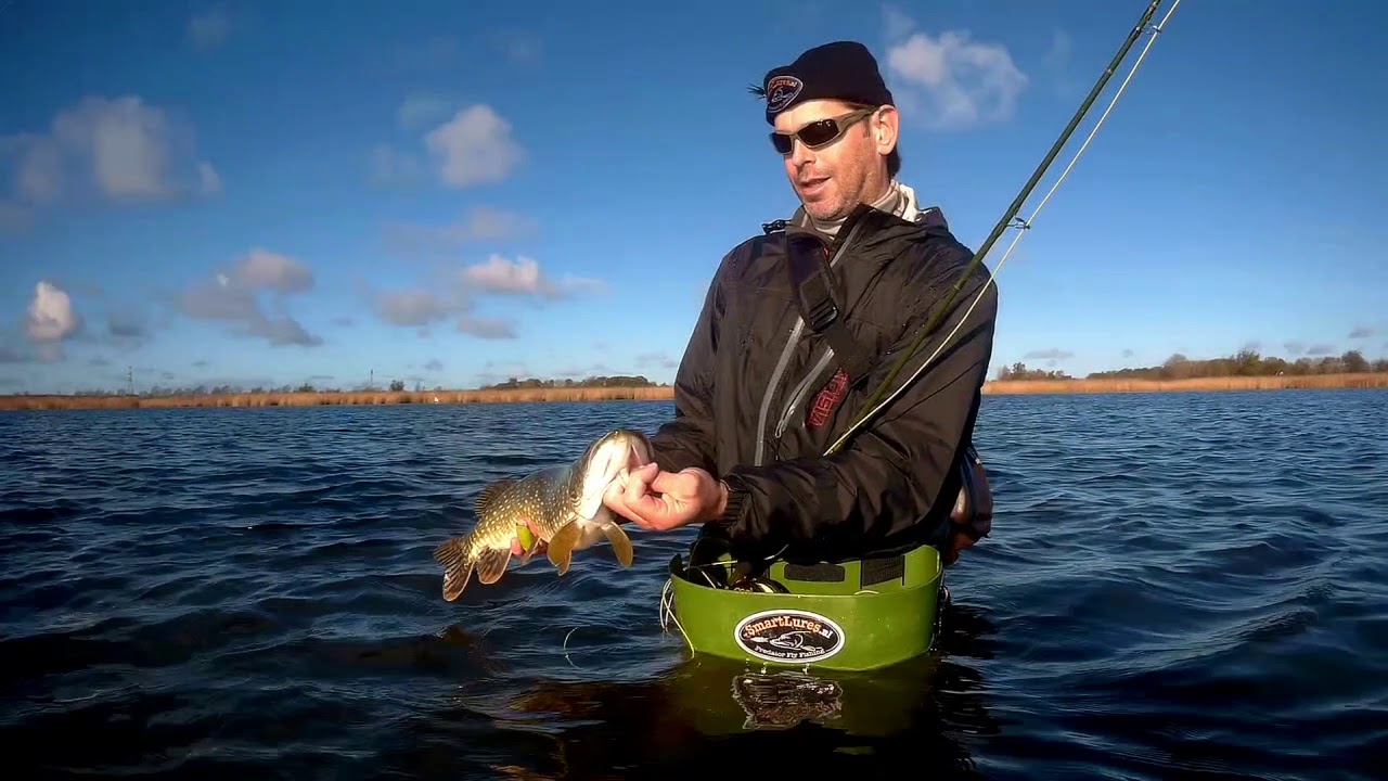 Pike flyfishing Rügen