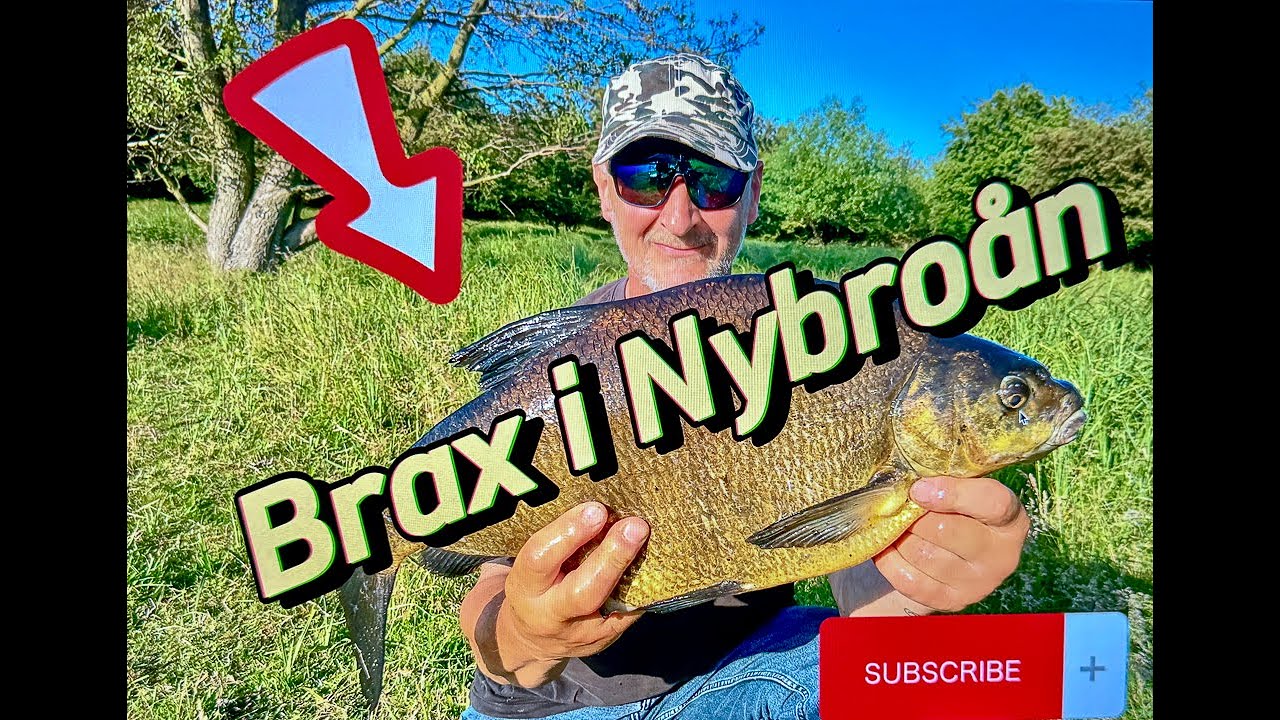 Vårfiske efter brax i Nybroån i Skåne 2022 en fin eftermiddag med federfiske efter brax och id.